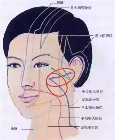 右側臉|右臉麻麻的神經外科問題：可能是何種疾病？